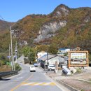 개미들솔향기야영장 이미지