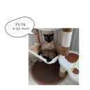67회 한능검 심화 기출 해설[16번~20번]