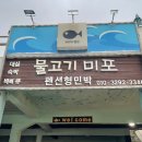 물고기 미포 이미지