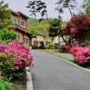 회룡대 별장펜션 | 충남 청양 펜션 가족들 모두 힐링