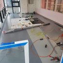 핑크강아지 이미지