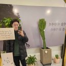 20분의기적 이미지