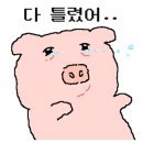 신화쭈꾸미 - 군포시 산본로323번길 10-22 | 신화쭈꾸미