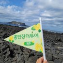 홍반장더투어제주