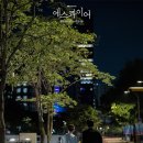 에스콰이어 카카오 검색결과