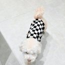 포근 | 독산동 미용실 케이브라운 금천롯데캐슬점 아윤채클리닉 후기