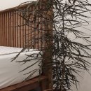 오브제 애월 이미지