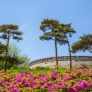 용두돈대 Daum카페