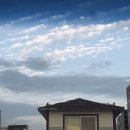 노벨치과의원 이미지