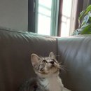 만땅PC 이미지