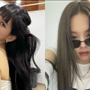 꿀C 이미지
