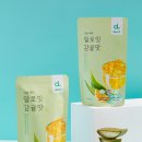 잇제주