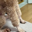 끼리끼리 이미지