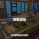 구도해물맛집 | [영종도/구읍뱃터맛집] 수경재배 무농약 쌈채소 무한리필 오션뷰 한식맛집, 영종쌈밥 내돈내산 후기