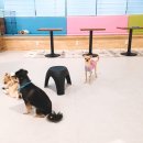 주견야독 이미지