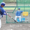 대호스포츠 이미지