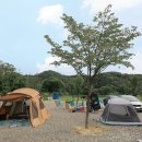 코끼리 관광농원 이미지