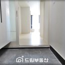 동화5차 이미지