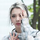 시선아트 일간스포츠