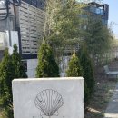 로와맨션 | [부산/기장 카페] 분위기 좋은 오션뷰 &amp; 애견 동반 가능한 대형카페 '로와맨션' 내돈내산 후기