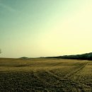 태산목장 이미지