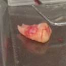 대구부부치과의원 이미지