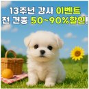 아이러브 독 이미지