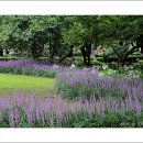 장안공원 이미지