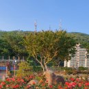 오십천둔치 이미지