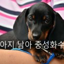 담은동물병원 이미지