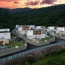 프렌즈애견