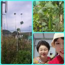동재농장 이미지