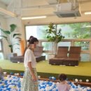 라임당구장 이미지