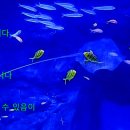 포토그래픽 이미지
