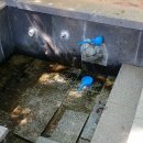 남산1리 경로당 이미지