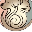 호이해이 이미지