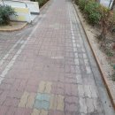 우성부동산공인중개사사무소(공동) 이미지