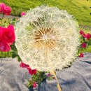 사진촬영(중급) 이미지