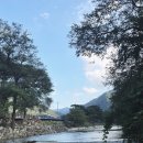 너마늘위한치킨 이미지