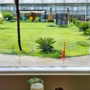 대인농장3 이미지