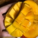 프레쉬마켓 | 프리미엄과일 택배 프레쉬픽 딜리셔스 마켓 '제주산 애플망고' 후기