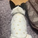 도봉-도봉-2437 이미지