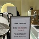 현대할인백화점 | 스토케 트립트랩 오크 내츄럴 구매 후기(현대백화점 할인 구매, 내돈내산)