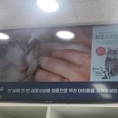 모코동물의료센터 이미지
