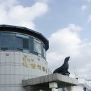 DMZ 평화의 길 33코스 이미지
