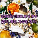 향기 | 입생로랑 리브르 로 뉘 향수(+향기, 특징, 지속력, 실제 후기)