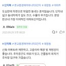 판교현대공인중개사사무소 | 얼죽신! 관리잘되어 깨끗한 신축. 판교풍경채어바니티5단지