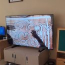 서울연천초등학교 이미지