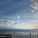 엣지 993(edge 993) 이미지