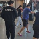판교스타복싱